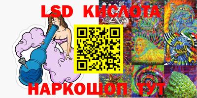 индика Анжеро-Судженск