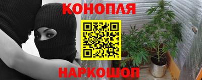 индика Анжеро-Судженск