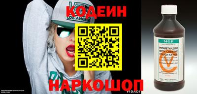 индика Анжеро-Судженск