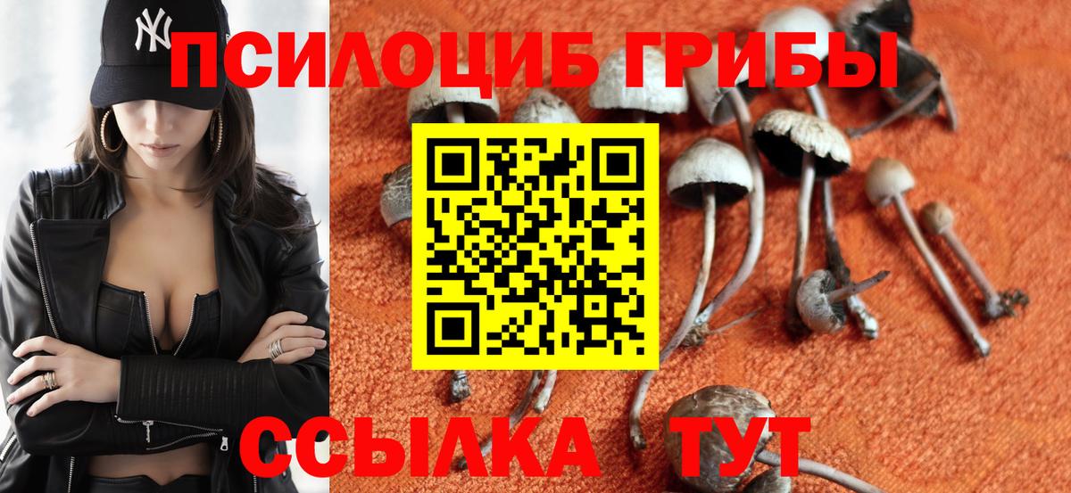 Амурск  Псилоцибиновые грибы мухоморы  Вход с VPN 