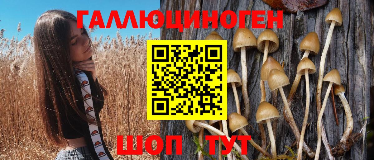 Галлюциногенные грибы мицелий Амурск